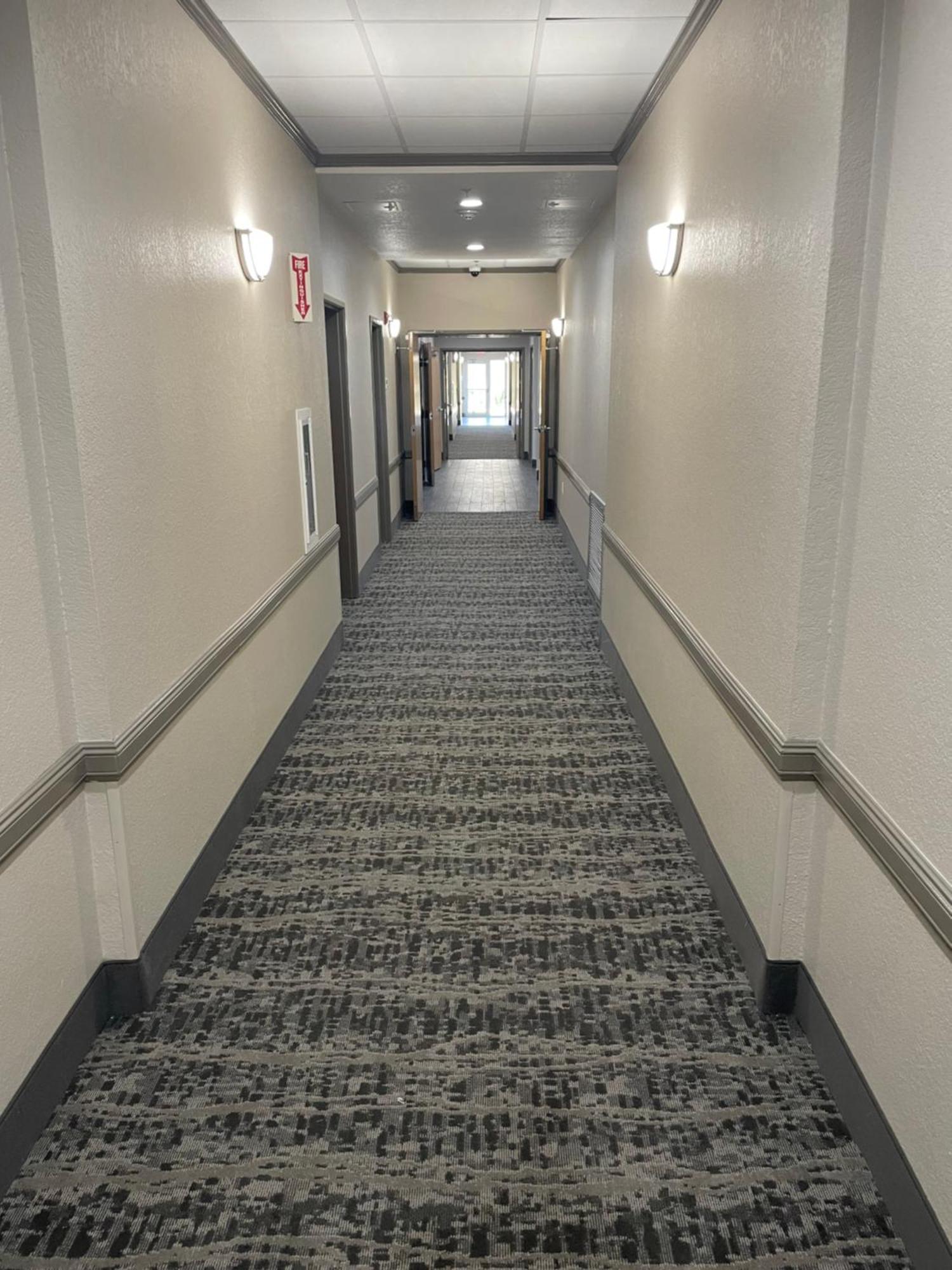 מלון Super 8 By Wyndham San Antonio/Alamodome Area מראה חיצוני תמונה