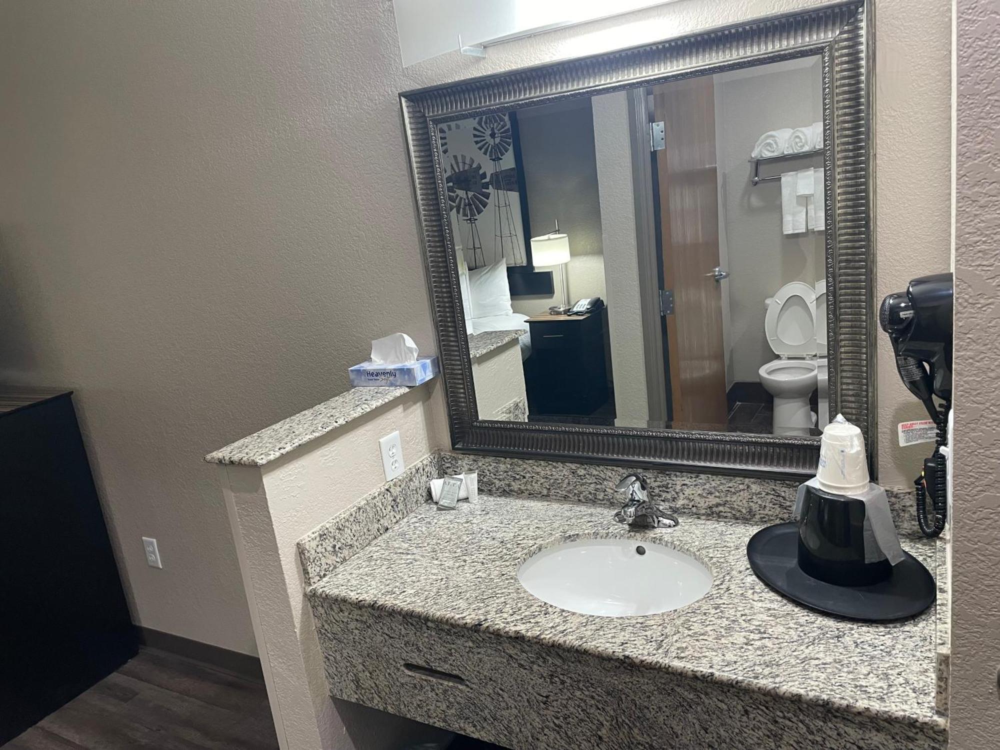 מלון Super 8 By Wyndham San Antonio/Alamodome Area מראה חיצוני תמונה